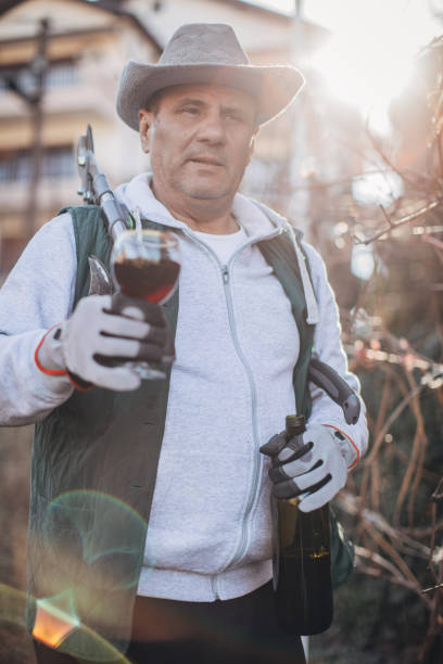 istock portrait of a man pruning a vine 1212751847