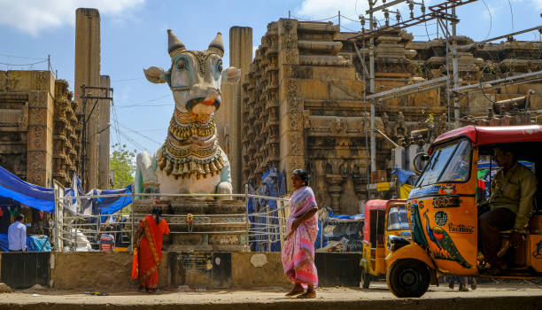 madurai na índia - nandi - fotografias e filmes do acervo