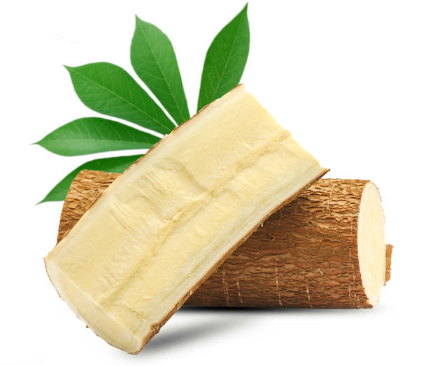 Cassava isolated on white background Cassava isolated on white background mandioca stock pictures, royalty-free photos & images