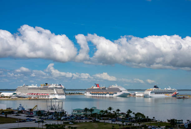 Cruise ships Port Canaveral 1 Idle cruise ships at Port Canaveral, Florida. This image shows the Norwegian Breakaway, Carnival breeze, and Norwegian Sun.
Port Canaveral, Florida
3/15/2020 robertmichaud stock pictures, royalty-free photos & images