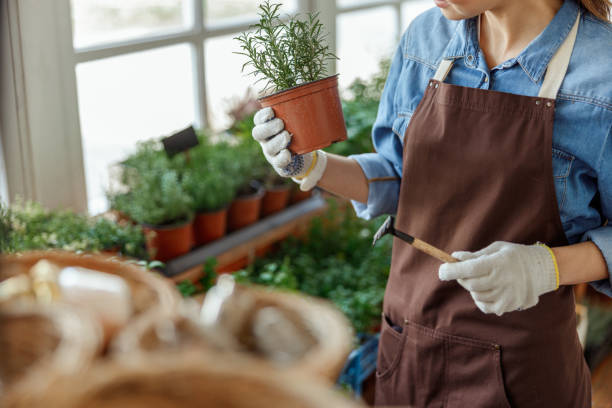 istock Female in work gloves holding a mini-rake 1212758878
