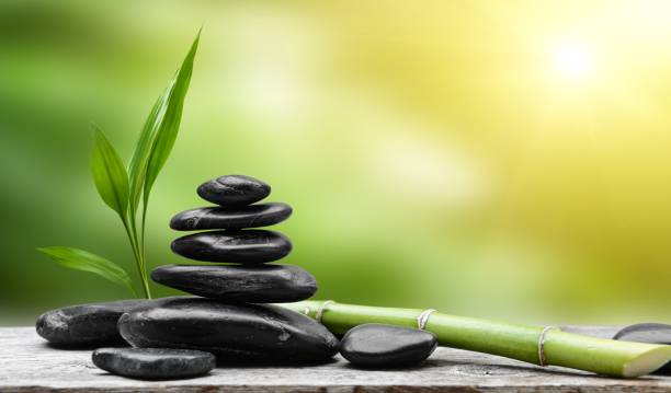 istock Black zen stones and bamboo sprout 1212760351