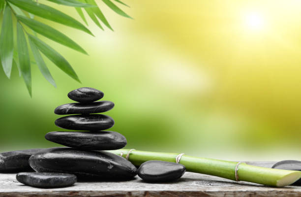 istock Black zen stones and bamboo sprout 1212760352