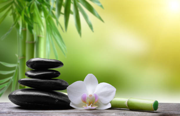 istock Black stones ,orchid flower and bamboo 1212760355