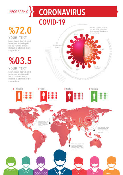 Coronavirus detailed infographic Coronavirus detailed infographic human genome map stock illustrations