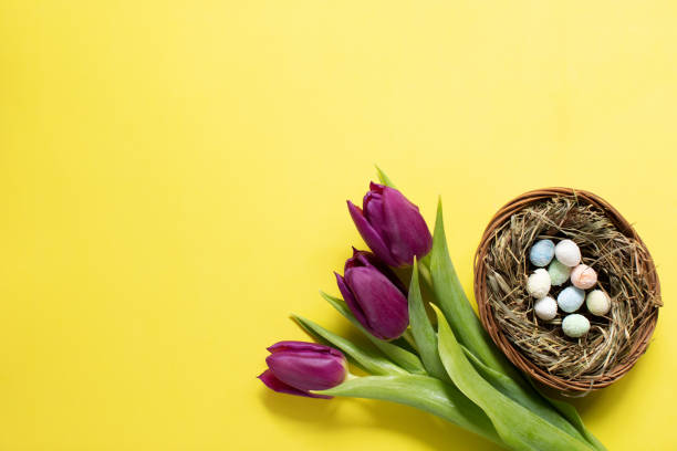 istock Purple tulips and easter eggs on yellow background. Spring time 1212762230