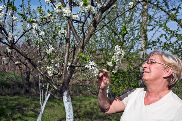 Woman farmer in an orchard