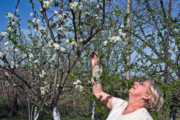 istock Woman farmer in an orchard 1212766121
