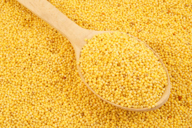 istock Millet with wooden spoon 1212766169
