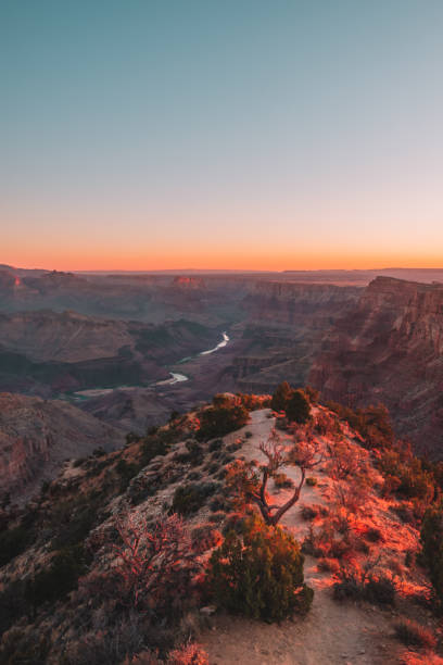 그랜드 캐년 국립 공원에서 콜로라도 강 을 통해 일출 - arid climate travel destinations canyon dawn 뉴스 사진 이미지