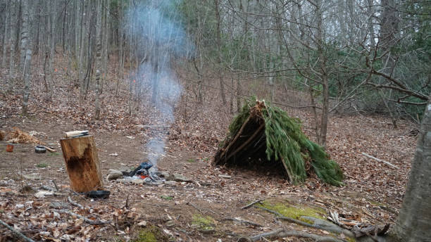 istock Primitive Bushcraft survival debris hut with campfire ring outside. Blanket, shelter, fire in the forest. Social distancing, CoronaVirus Pandemic disease Prepping, prepper 1212769497