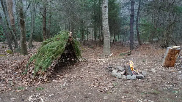Photo of Primitive Bushcraft survival debris hut with campfire ring outside. Blanket, shelter, fire in the forest. Social distancing, CoronaVirus Pandemic disease Prepping, prepper