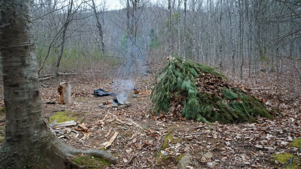 istock Primitive Bushcraft survival debris hut with campfire ring outside. Blanket, shelter, fire in the forest. Social distancing, CoronaVirus Pandemic disease Prepping, prepper 1212769561