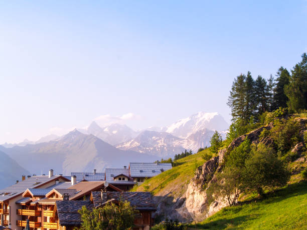 istock paraglider of the Alps 1212769879