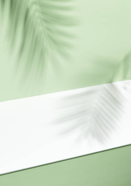 istock Abstract background of shadows palm leafs on green wall 1212770247