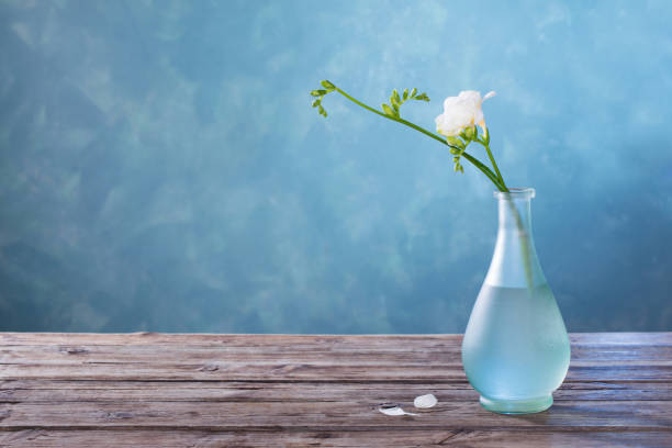 istock white  freesia in glass vase on dark background 1212773313
