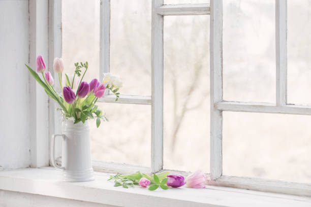 istock beautiful tulips on old white windowsill 1212773593