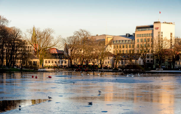 Seagulls sit on frozen waters of Stavanger city lake in early in the morning Seagulls sit on frozen waters of Stavanger city lake in early in the morning, Norway, December 2017 stavanger cathedral stock pictures, royalty-free photos & images