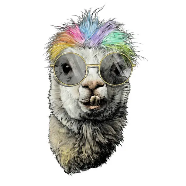 Vector illustration of llama or Alpaca head funny with protruding teeth fashionable with round glasses and rainbow colored hair