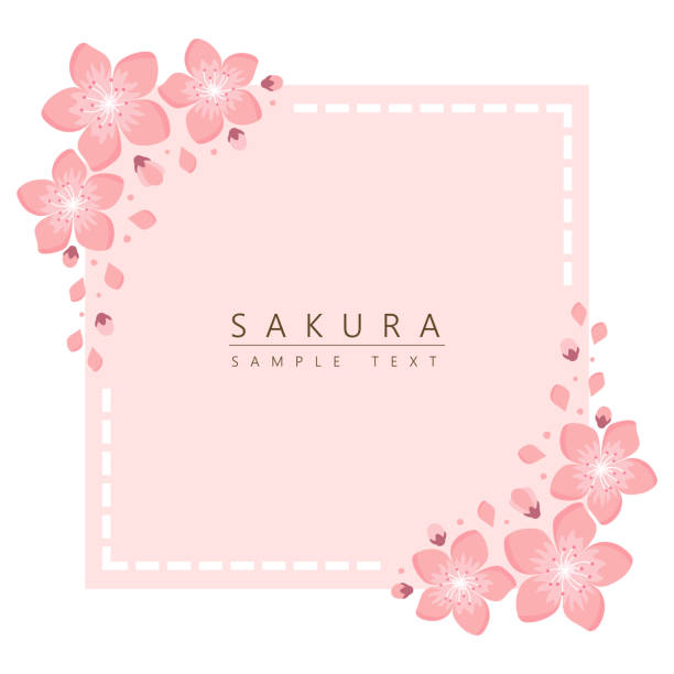 Sakura Cherry Blossom Japanese Theme Background Stock Illustration
