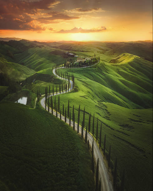 Tuscany sunset landscape view of green hills fringed with cypress trees Italy, Europe Magical sunset and rural landscape view of Picturesque agrotourism with characterized green top hill farms of olive groves and vineyards typical curved road with cypress at Crete Senesi in Toscana, Italia, Europe italian cypress stock pictures, royalty-free photos & images