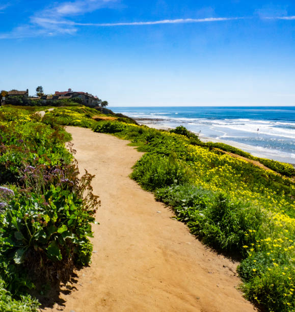 istock Carlsbad California Coastline 1212782452