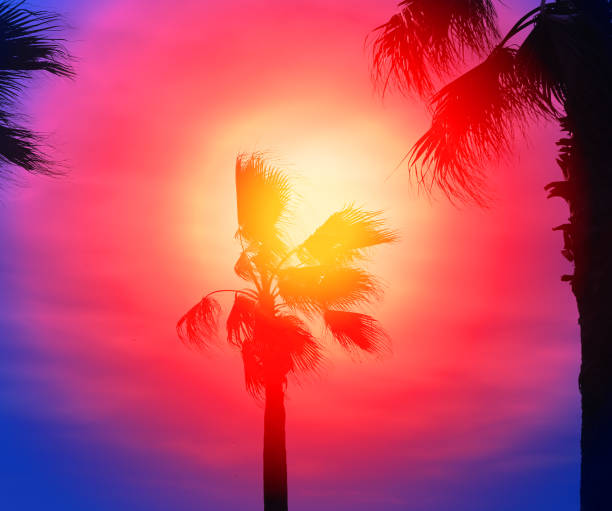 istock Photo background with beautiful multicolored palm trees 1212784026