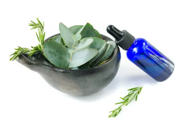 Eucalyptus and rosemary essence on a white background with eucalyptus leaves. Copy space.