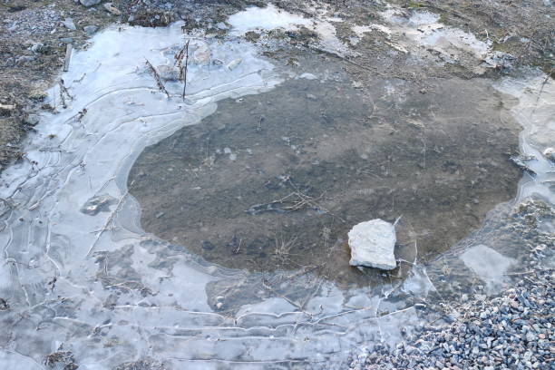 istock Frozen puddle with ice on the ground 1212784916