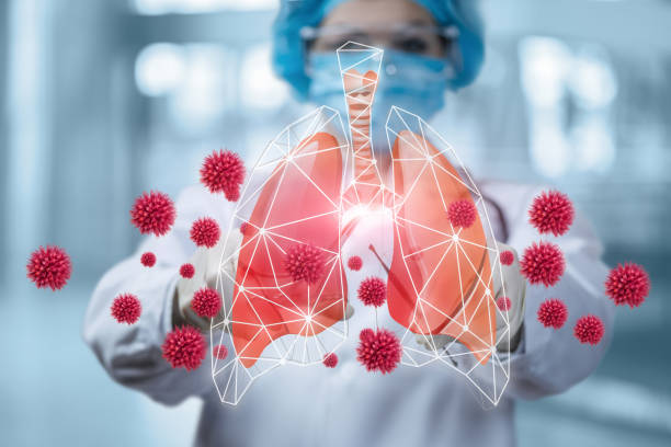 Concept of treatment of the lungs of a patient infected with coronavirus. The concept of treatment of the lungs of a patient infected with coronavirus. abstract adult body body part stock pictures, royalty-free photos & images