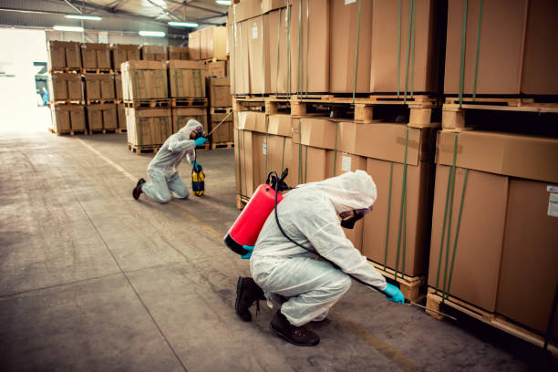 exterminators in warehouse spraying pesticides with sprayer - praga imagens e fotografias de stock