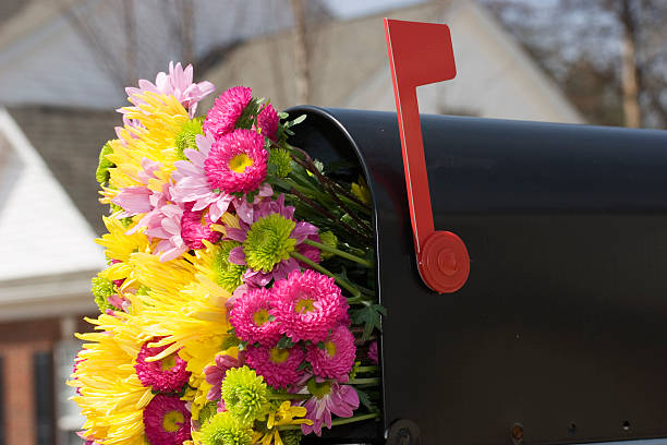 bouquet de flores frescas de primavera na caixa de correio - 7585 imagens e fotografias de stock