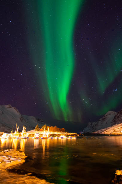 istock Aurora Borealis, Harbour Ersfjordbotn, Norway 1212794843