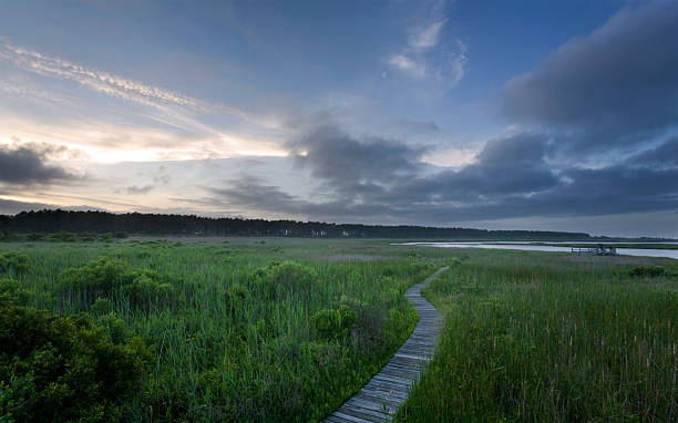 Moody Marsh at Dusk  bodie island stock pictures, royalty-free photos & images