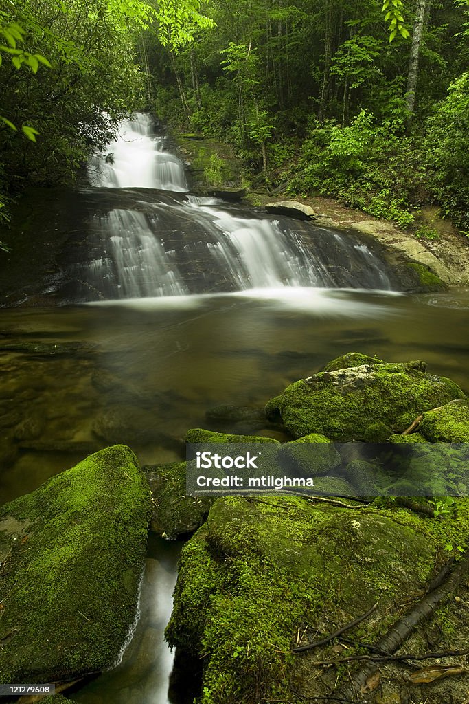 Nascosto foresta pluviale cascata - Foto stock royalty-free di Acqua