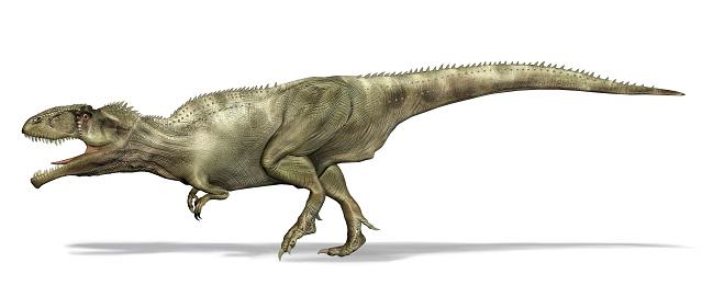 Giganotosaurus dinosaur. Side view, 3d photorealistic illustration, on white background. Clipping path included.