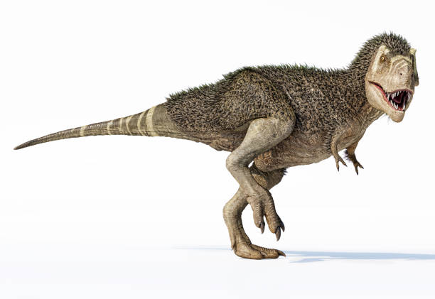 t-rex динозавр с перьями. - 3d визуализатор стоковые фото и изображения