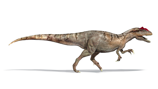 Allosaurus dinosaur, side view, 3d photorealistic illustration, on white background. Clipping path included.