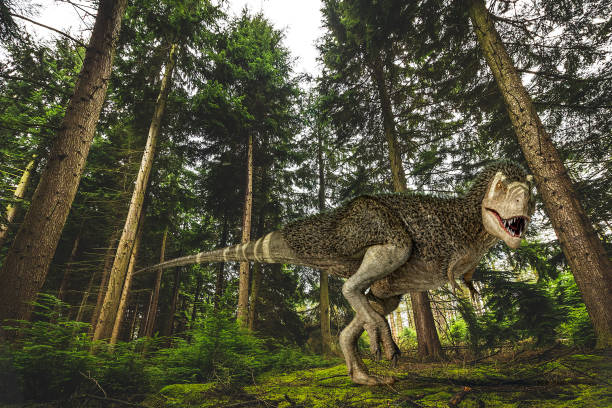 istock T-Rex with feathers in the forest. 1212796234