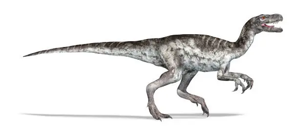 Photo of Herrerasaurus dinosaur, photorealistic 3d illustration