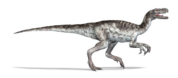 dinossauro herrerasaurus, ilustração 3d fotorealista - herrerasaurus - fotografias e filmes do acervo