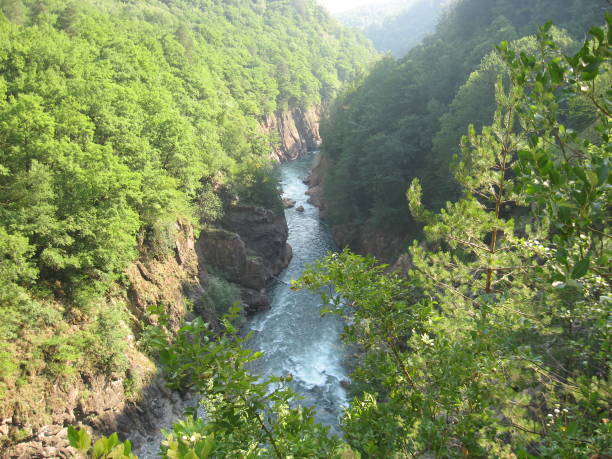istock fabulous nature of Adygea 1212796628