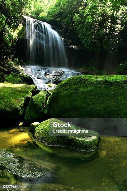 Photo libre de droit de Rocky Cascade De La Forêt Tropicale banque d'images et plus d'images libres de droit de Appalaches - Appalaches, Brouillard, Caroline du Nord - État américain