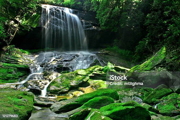 Photo libre de droit de Majestueuse Cascade De La Forêt Tropicale banque d'images et plus d'images libres de droit de Cascade - Cascade, Couleur verte, Couleur vive