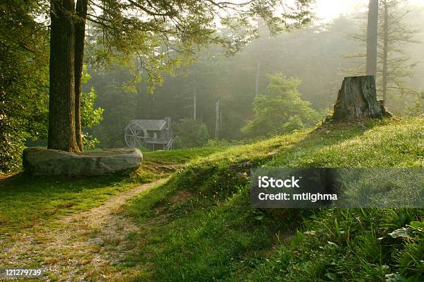 Vecchio Mulino A Acqua - Fotografie stock e altre immagini di Carolina del Nord - Stato USA - Carolina del Nord - Stato USA, Carolina del Sud, Foresta