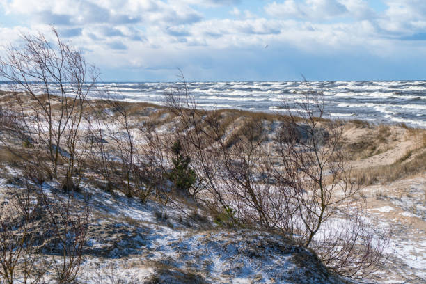 istock Sand dunes on Baltic Sea beach in winter 1212797952