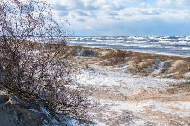 istock Sand dunes on Baltic Sea beach in winter 1212798167