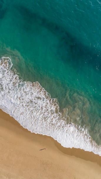 istock Aerial view to tropical sandy beach, waves and ocean 1212798316