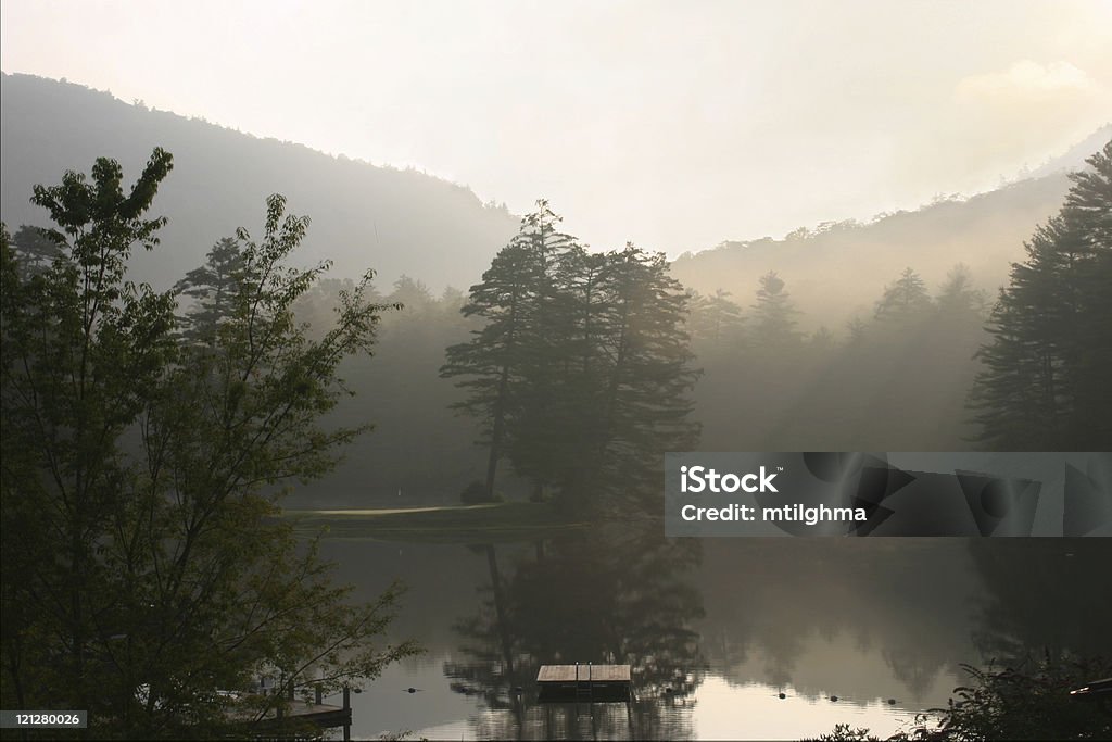 Mountain Lake at Sunrise  Animals In The Wild Stock Photo