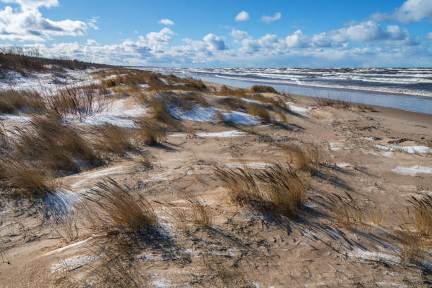 istock Sand dunes on Baltic Sea beach in winter 1212800390